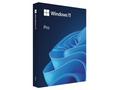Windows Pro 11 64-bit Czech USB