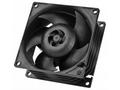 ARCTIC S8038-7K - 80mm Case Fan - dual ball bearin