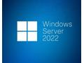 OEM Windows Server CAL 2022 CZ 1 User CAL