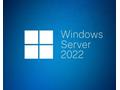 Microsoft Windows Server 2022 - Licence - 5 zaříze