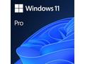 MS Windows 11 Professional GGK 64-bit CZ 1pk OEM D