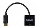 EVOLVEO DisplayPort - DVI adaptér