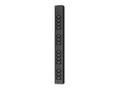 APC Basic Rack PDU - Rozvodná jednotka PDU (k mont