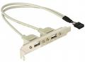 Delock - Panel USB - USB záhlaví 10 pinů (M) do US