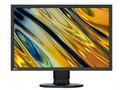 EIZO ColorEdge CS2400R - CS Series - LED monitor -