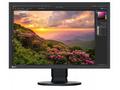 EIZO, CG2400S, 24,1", IPS, 1920x1200, 60Hz, 19ms, 