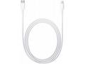 USB-C to Lightning Cable (1 m)