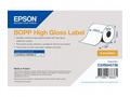 BOPP High Gloss Label Cont.R, 203mm x 68m