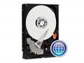 WD Blue WD5000AZLX - Pevný disk - 500 GB - interní