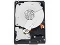 WD GOLD RAID WD2005FBYZ 2TB SATA, 6Gb, s 128MB cac