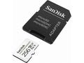 SanDisk High Endurance, micro SDXC, 256GB, Class 1