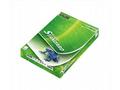 EUROPAPIER STANDARD PAPER A4, 80g, m2, 1x500listů
