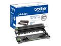 Brother DR-2401 (opt. válec do 12 000 str. A4)