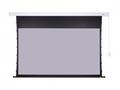 Nástěnné plátno AVELI PREMIUM, black, 265x149(16:9