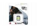 Kingston paměťová karta 256GB Canvas Select Plus S