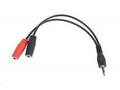GEMBIRD Kabel rozdvojka jack 3,5mm (4 pólový) na 2