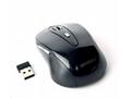 Myš GEMBIRD MUSW-6B-01, černá, bezdrátová, USB nan