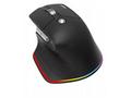 ACER bezdrátová myš Easy Fit Mouse, ergonomická,40