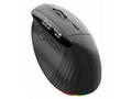 Acer Smart Fit Vertical Mouse - Black, Wireless RF