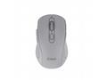 C-TECH myš Dual mode WLM-12GR, bezdrátová, 1600DPI