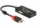 Delock - Nástroj pro převod videa - DisplayPort - 