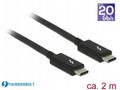 Delock - Kabel Thunderbolt - 24 pin USB-C (M) do 2