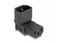 Delock - Adaptér napájení - power IEC 60320 C13 do