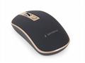 Gembird Myš MUSW-4B-06, bezdrátová, USB nano recei