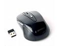GEMBIRD myš MUSW-6B-01, černá, bezdrátová, USB nan