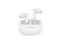 Lenovo E310 True Wireless Stereo Earbuds standalon