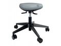 Leitz ergonomická balanční židle pro sezení s kole