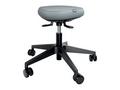 Leitz ergonomická balanční židle pro sezení s kole