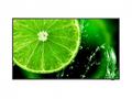 Sharp 43" MultiSync E439 - IPS direct LED, 3840 x 