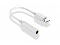 PLATINET SMARTPHONE ADAPTER TYPE-C TO AUX