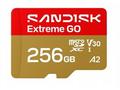 SanDisk Extreme Go - Pametová karta flash - 256 GB