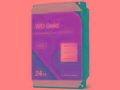 WD Gold WD242KRYZ - Pevný disk - Enterprise - 24 T