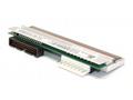 Printhead 300 dpi, ZD421T