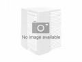 AbsenICON X 163" WallMount