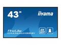 iiyama ProLite LH4365UHSB-B1 - 43" Třída úhlopříčk