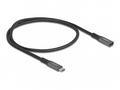 Delock - Prodlužovací USB kabel - 24 pin USB-C (M)