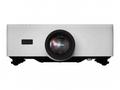 60006067, P721Q-W Projector