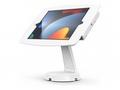 Compulocks iPad 10.2" Space Enclosure Mast Counter
