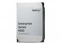 SYNOLOGY, HAS5310-20T
