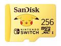 SanDisk - Paměťová karta flash - 256 GB - Video Cl