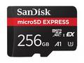 SanDisk Express - Paměťová karta flash - 256 GB - 