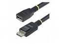 StarTech.com 10ft (3m) DisplayPort 1.4 Extension C