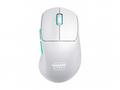 CHERRY Xtrfy M64 - Myš - ergonomický - optický - 5