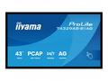 iiyama ProLite T4329AS-B1AG - 43" Trída úhloprícky