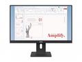 Lenovo ThinkVision E24-40 - LED monitor - 24" (23.