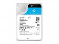 Seagate SkyHawk AI - Pevný disk - 32 TB - interní 